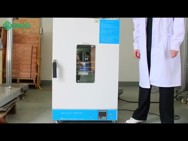 Need a Step-by-Step Demo of the SN889-225L Programmable Oven? Watch This!